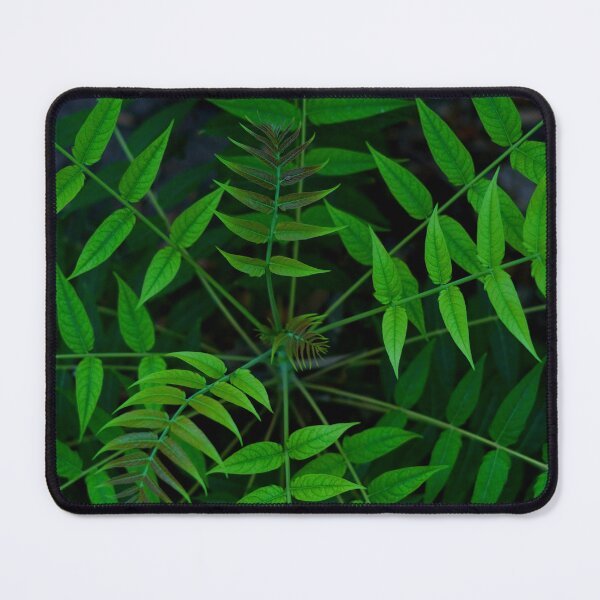 Item preview, Plant, nature, leaf, tree, designed and sold by citrarts.