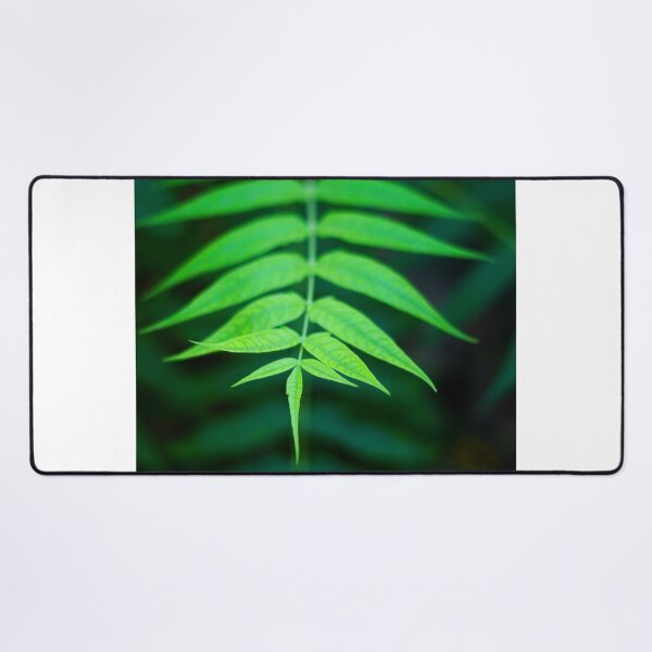 Item preview, Leaf, plant, nature, tree, vegetation designed and sold by citrarts.
