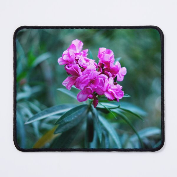 Item preview, Plant, leaf, vegetation, tree, nature, flower designed and sold by citrarts.