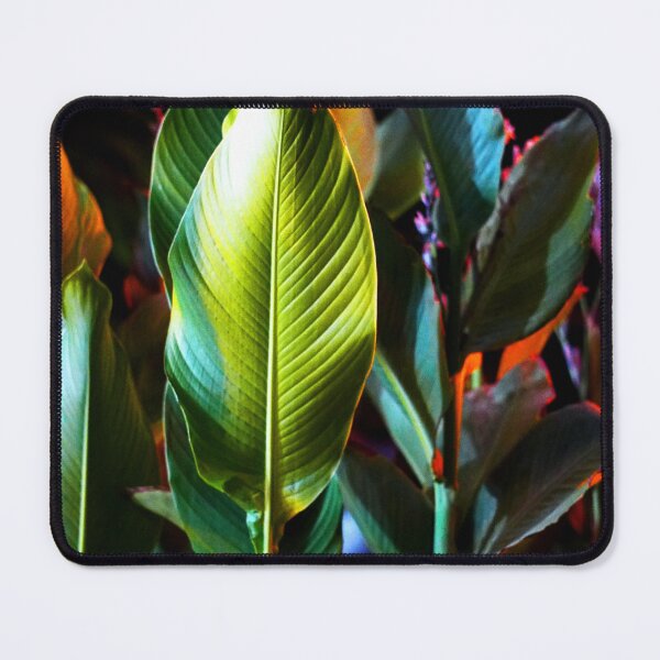 Item preview, Nature, plant, leaf, vegetation, tree designed and sold by citrarts.