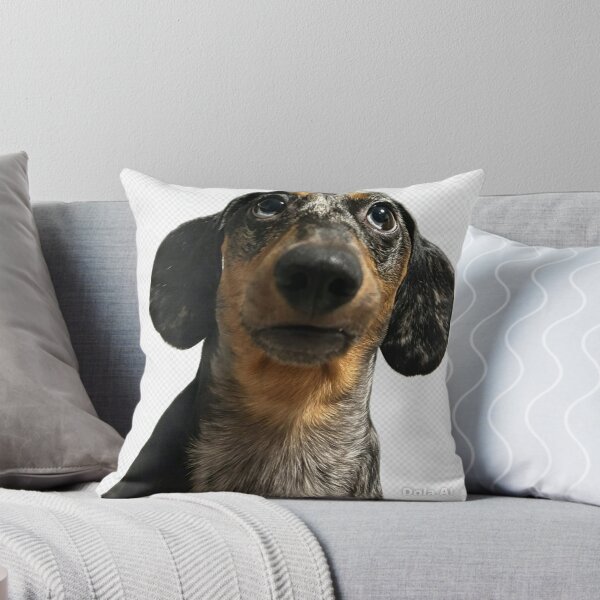 Item preview, Dachshund Cute Face — Adorable Doxie Close-Up Dog Lover designed and sold by StokeMadeDesign.