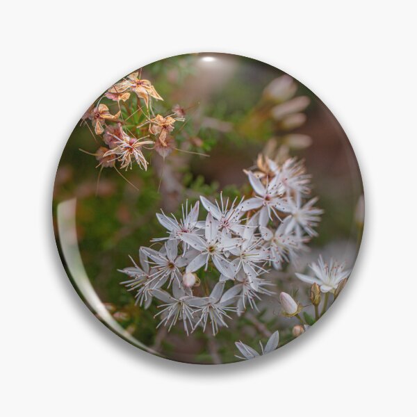 Item preview, Common Fringe-Myrtle Botanical Macro – Fine Art Canvas Photography Print designed and sold by MinzMarchStudio.