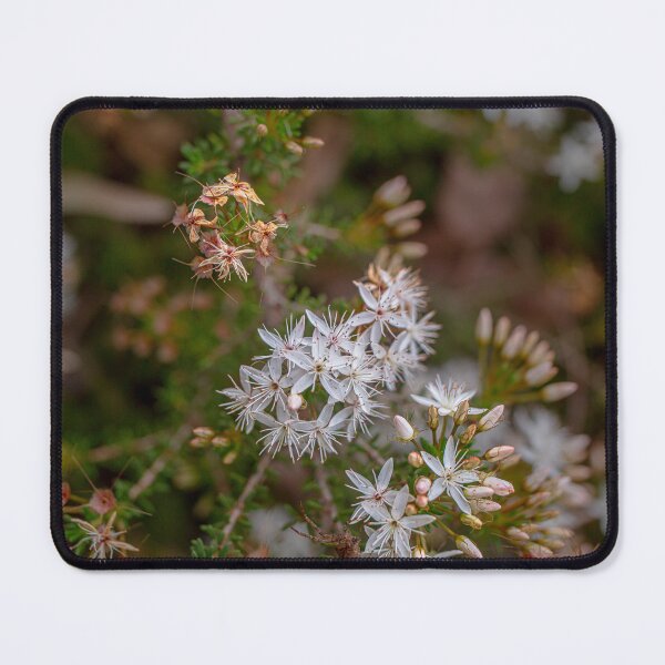 Item preview, Common Fringe-Myrtle Botanical Macro – Fine Art Canvas Photography Print designed and sold by MinzMarchStudio.