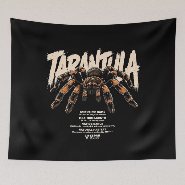 Item preview, Detailed tarantula illustration with facts designed and sold by rafaeltto.