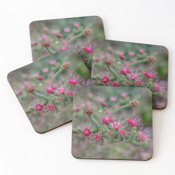 Item preview, Oldfield's Darwinia Botanical Macro – Fine Art Canvas Photography Print designed and sold by MinzMarchStudio.
