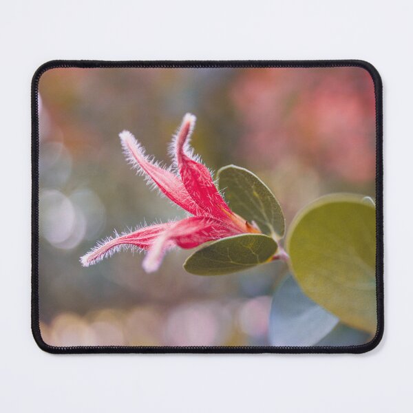 Item preview, Round-Leaf Honeysuckle Botanical Macro – Fine Art Canvas Photography Print designed and sold by MinzMarchStudio.
