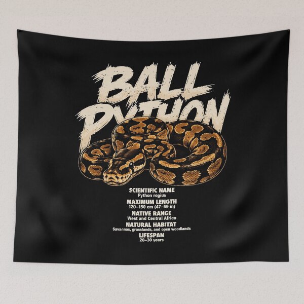 Item preview, Detailed ball python illustration for snake lovers designed and sold by rafaeltto.