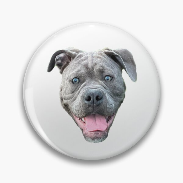 Item preview, Blue bulldog designed and sold by Paul Chambers.