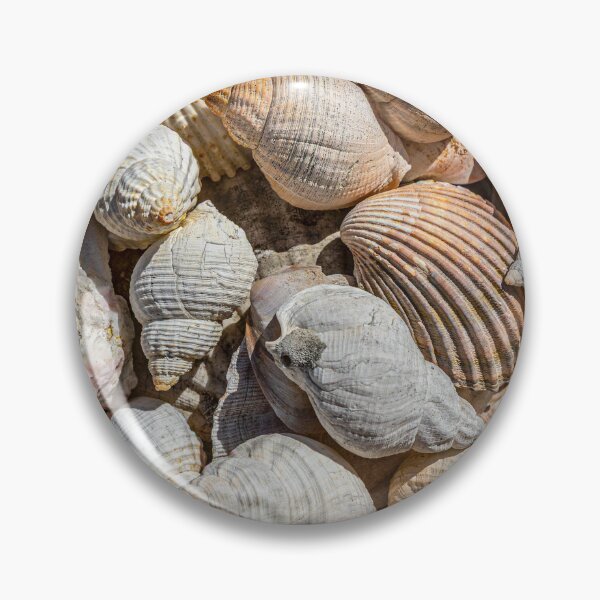 Item preview, Seashells designed and sold by Dave Hare Photography.