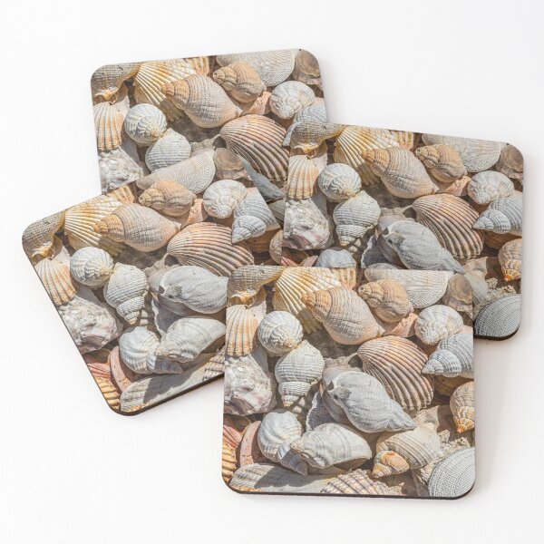 Item preview, Seashells designed and sold by Dave Hare Photography.