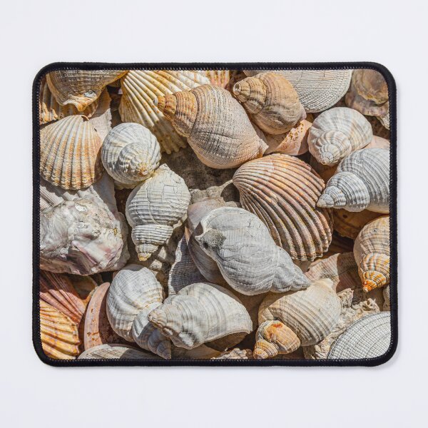 Item preview, Seashells designed and sold by Dave Hare Photography.