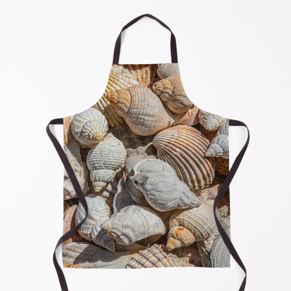 Item preview, Seashells designed and sold by Dave Hare Photography.