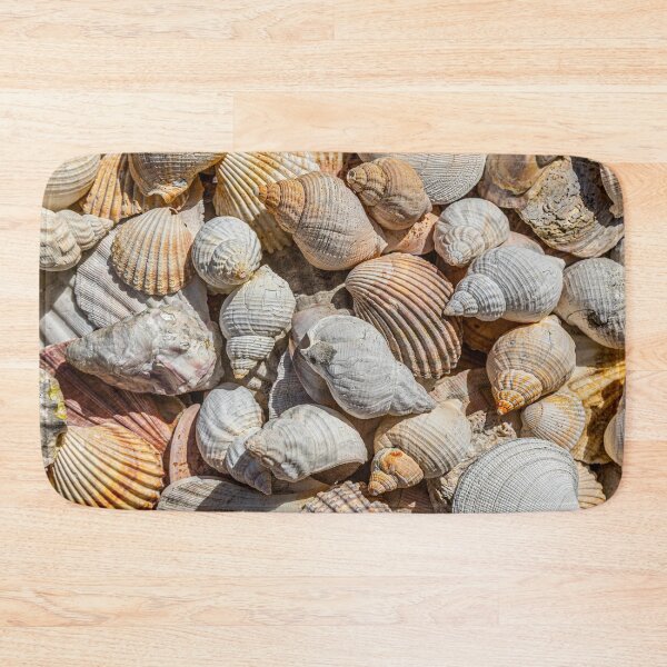 Item preview, Seashells designed and sold by Dave Hare Photography.