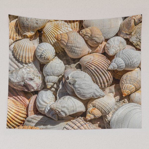 Item preview, Seashells designed and sold by Dave Hare Photography.