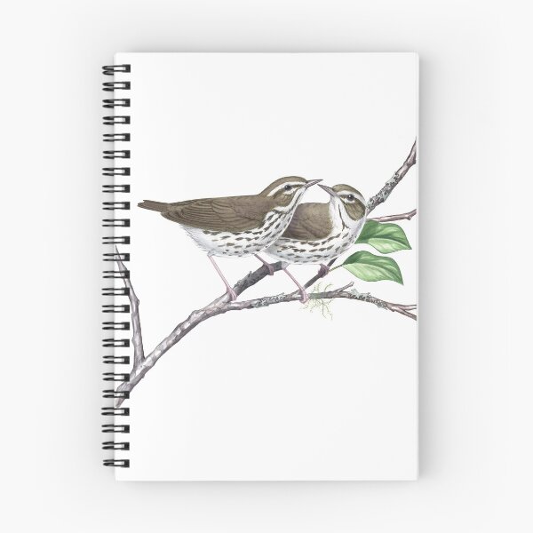 Item preview, Louisiana Waterthrush (Parkesia motacilla)  designed and sold by JadaFitch.