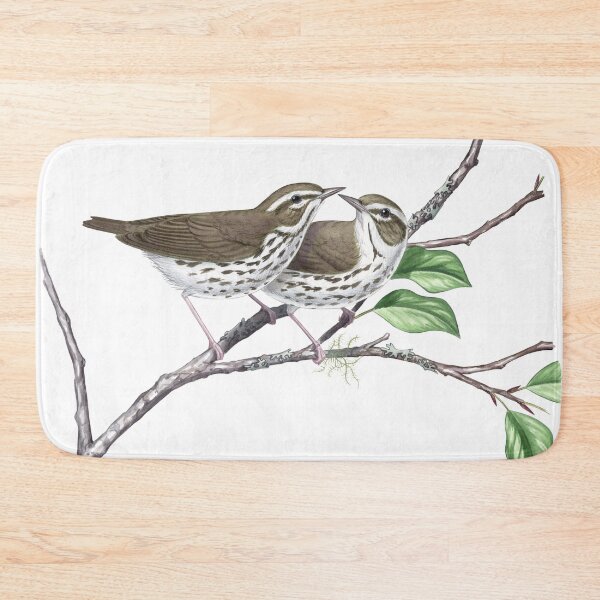 Item preview, Louisiana Waterthrush (Parkesia motacilla)  designed and sold by JadaFitch.