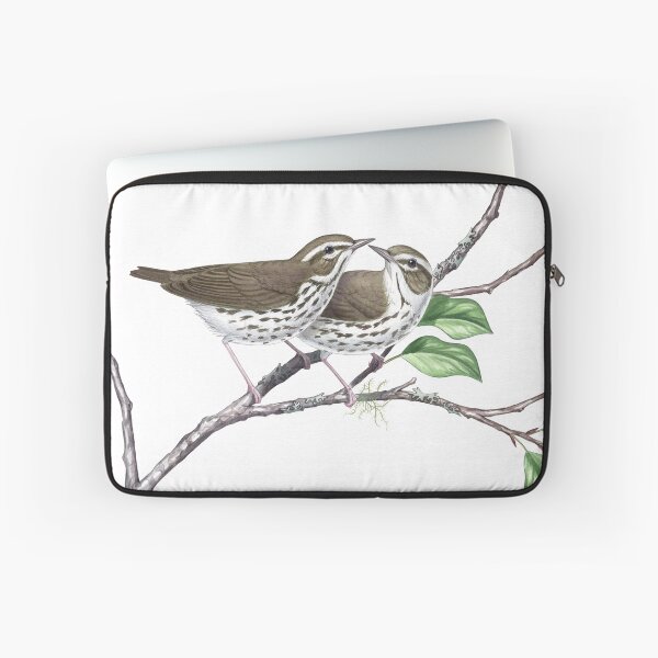 Item preview, Louisiana Waterthrush (Parkesia motacilla) designed and sold by JadaFitch.