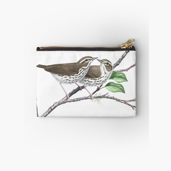 Item preview, Louisiana Waterthrush (Parkesia motacilla)  designed and sold by JadaFitch.