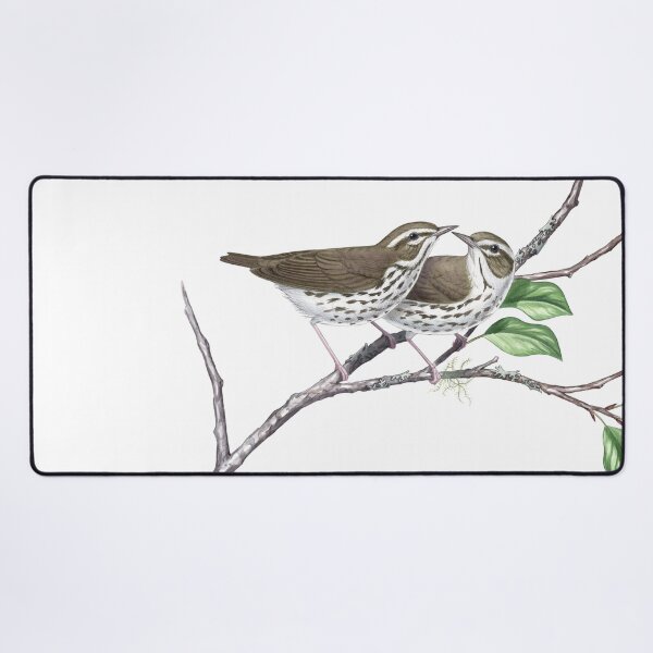 Item preview, Louisiana Waterthrush (Parkesia motacilla)  designed and sold by JadaFitch.