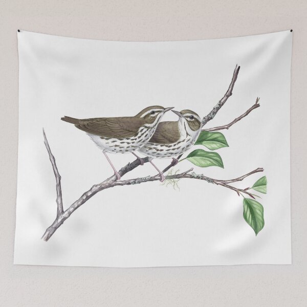 Item preview, Louisiana Waterthrush (Parkesia motacilla)  designed and sold by JadaFitch.