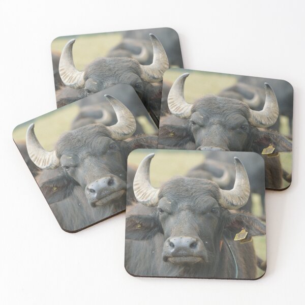 Aperçu de l'œuvre Buffalo Moody créée et vendue par Artytiff.