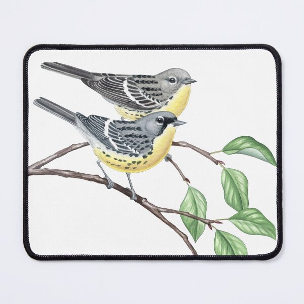Item preview, Kirtland's Warbler (Setophaga kirtlandii) designed and sold by JadaFitch.