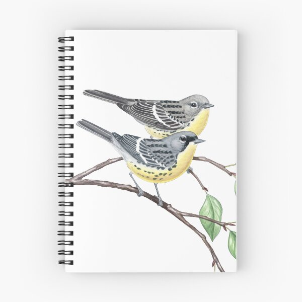 Item preview, Kirtland's Warbler (Setophaga kirtlandii) designed and sold by JadaFitch.