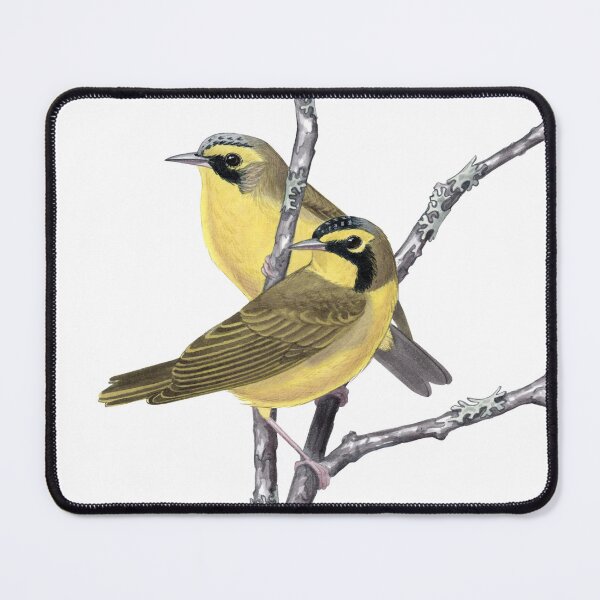 Item preview, Kentucky Warbler (Geothlypis formosa) designed and sold by JadaFitch.