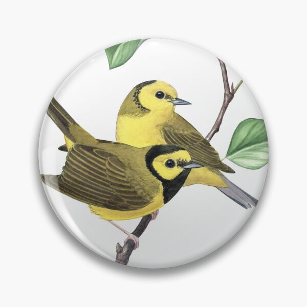 Item preview, Hooded Warbler (Setophaga citrina)  designed and sold by JadaFitch.
