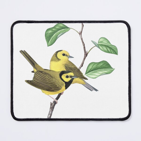 Item preview, Hooded Warbler (Setophaga citrina)  designed and sold by JadaFitch.