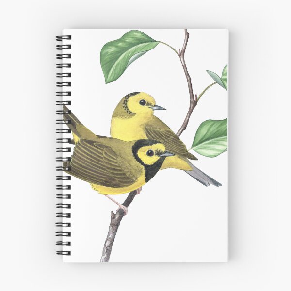 Item preview, Hooded Warbler (Setophaga citrina)  designed and sold by JadaFitch.