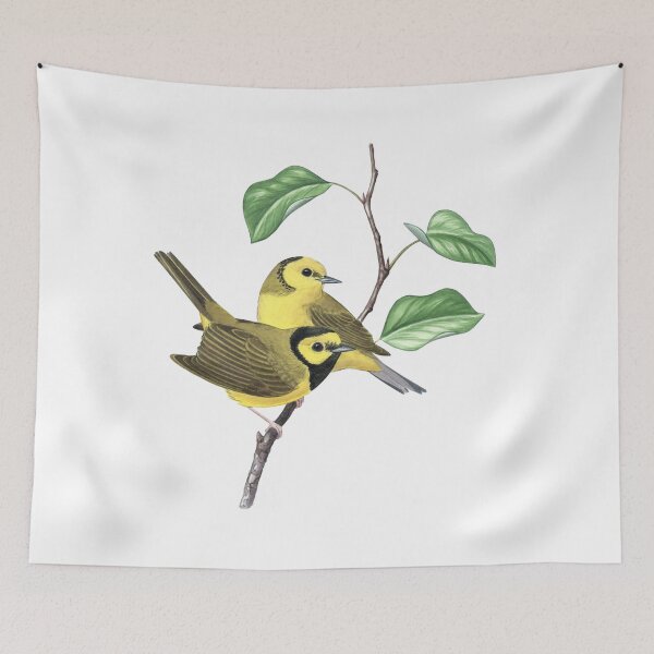 Item preview, Hooded Warbler (Setophaga citrina)  designed and sold by JadaFitch.