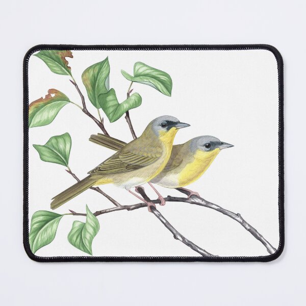 Item preview, Gray-crowned Yellowthroat (Geothlypis poliocephala) designed and sold by JadaFitch.
