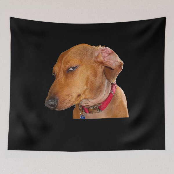 Item preview, Side eye dog meme Funny designed and sold by BASKF.