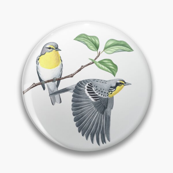 Item preview, Grace's Warbler (Setophaga graciae) designed and sold by JadaFitch.