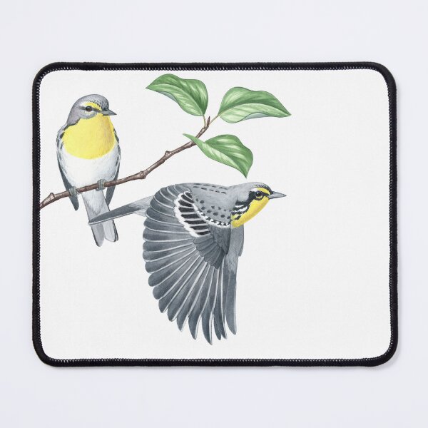 Item preview, Grace's Warbler (Setophaga graciae) designed and sold by JadaFitch.