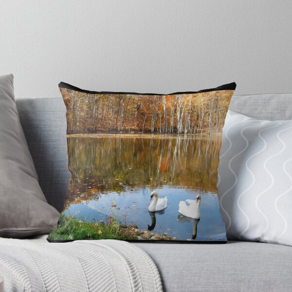 Item preview, Swans designed and sold by AlphaEyePhoto.