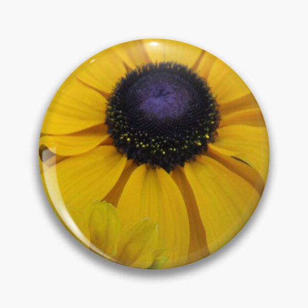 Item preview, Susans in Full Bloom  designed and sold by heatherfriedman.