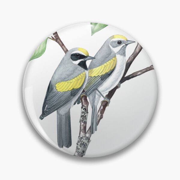 Item preview, Golden-winged Warbler (Vermivora chrysoptera)  designed and sold by JadaFitch.