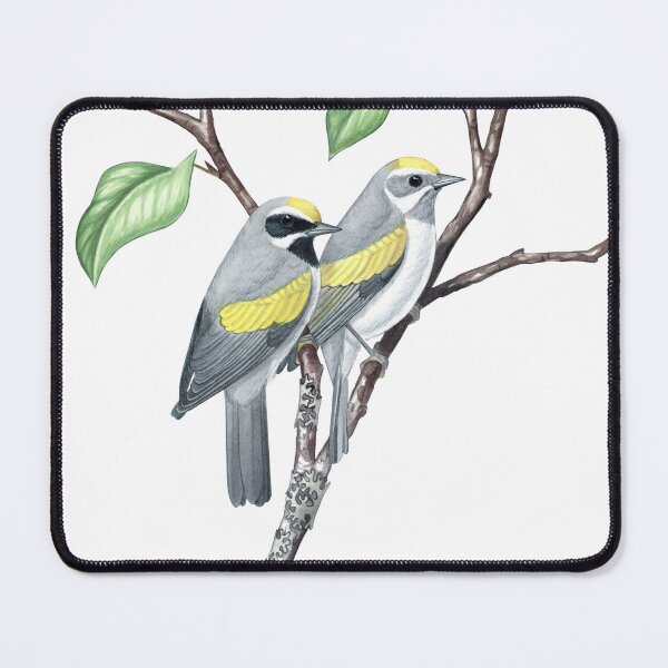 Item preview, Golden-winged Warbler (Vermivora chrysoptera)  designed and sold by JadaFitch.
