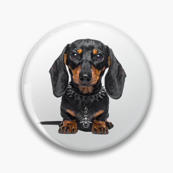 Item preview, Gothic Dachshund Puppy Spiked Skull Collar Illustration designed and sold by BetweenForms.