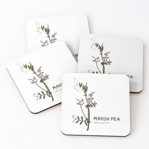 Item preview, Marsh Pea - Lathyrus palustris designed and sold by kindbotanicals.