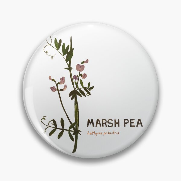 Item preview, Marsh Pea - Lathyrus palustris designed and sold by kindbotanicals.