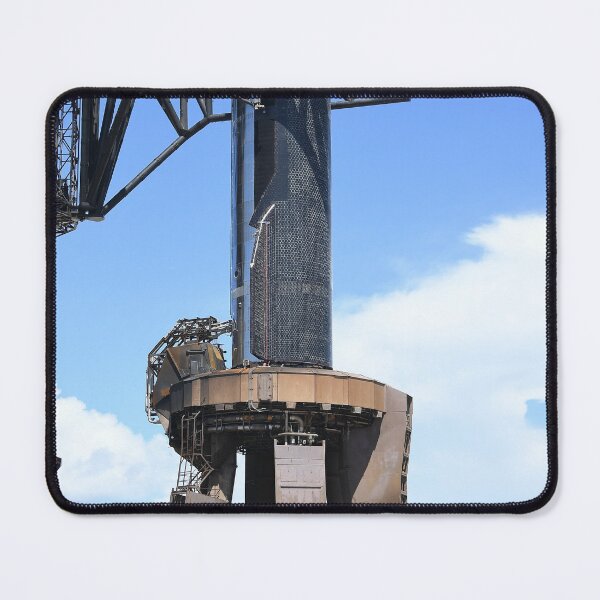 Item preview, A seagull sits in front of SpaceX Starship 38 designed and sold by STFPhotoAgency.