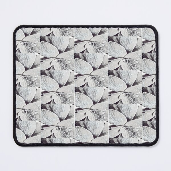 Item preview, Minimalist Black and White Succulent Sketch Nature Graphic designed and sold by BalkanBloomArt.