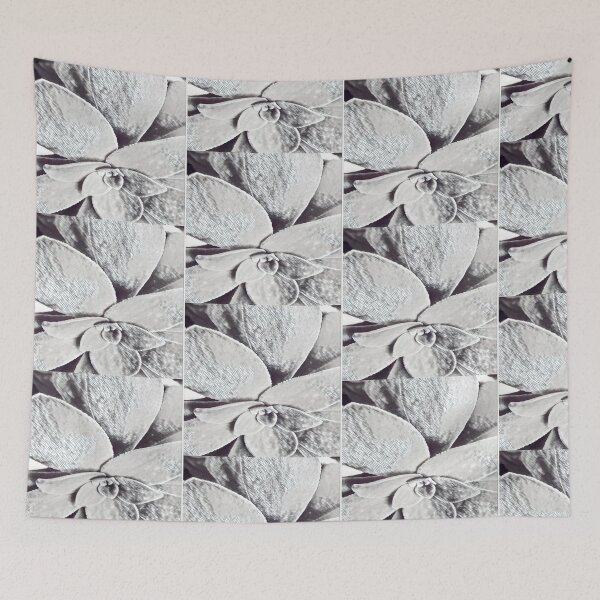 Item preview, Minimalist Black and White Succulent Sketch Nature Graphic designed and sold by BalkanBloomArt.