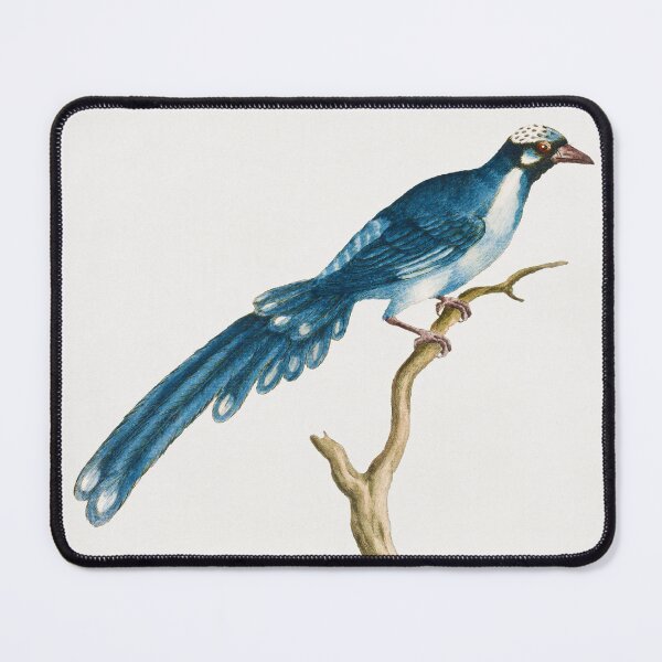 Item preview, Vintage Bird Illustration designed and sold by Gilmour-Prints.