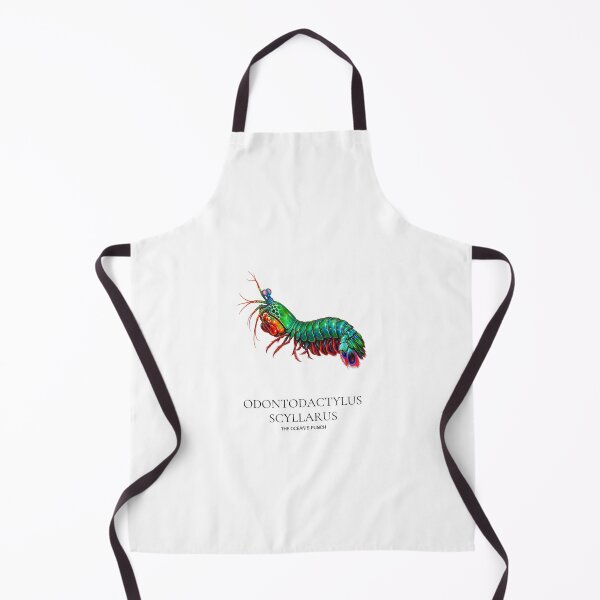 Item preview, Odontodactylus Scyllarus Peacock Mantis Shrimp Illustration designed and sold by wildlifethings.