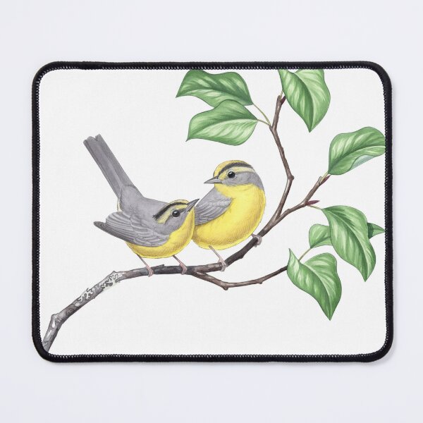 Item preview, Golden-crowned Warbler (Basileuterus culicivorus) designed and sold by JadaFitch.