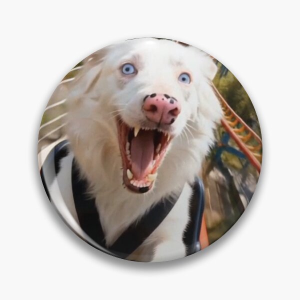 Item preview, Pure Adrenaline: White Border Collie on a Coaster designed and sold by Snowysjourney.
